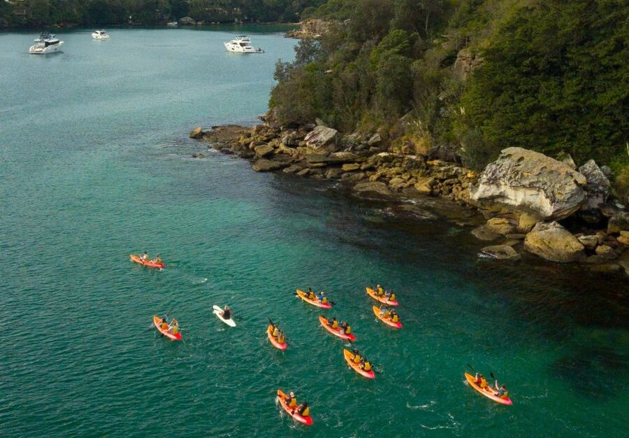 Manly: Mini Kayak Tour on Sydney's North Harbour - Reef Beach gives the tour its pause
