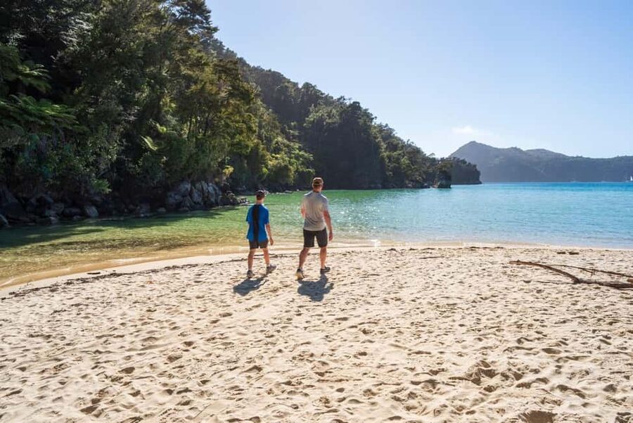 Marahau: Abel Tasman Kayaks Kayak and Walk - Seal sightings around Adele Island