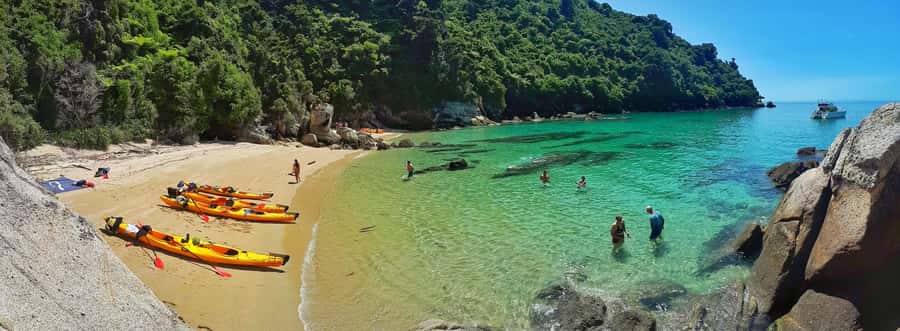 Mārahau: Abel Tasman Marine Reserve Kayak Tour - What makes the wildlife encounter worthwhile