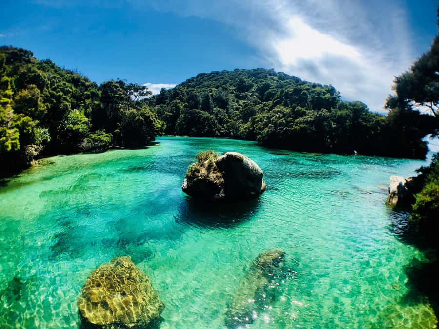 Mārahau: Abel Tasman Marine Reserve Kayak Tour - Starting at Awaroa: Shag Harbour and the southern route