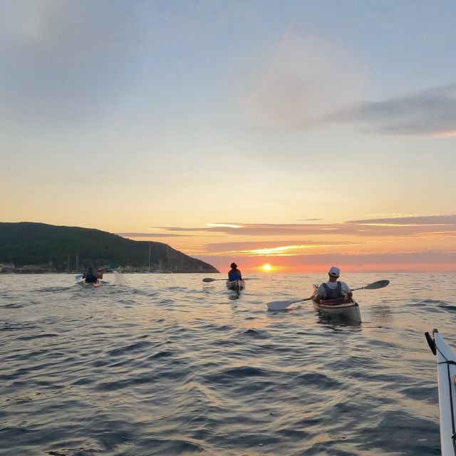 Marciana Marina: Evening Sea Kayaking Tour with Swim Stop - Learning the basics before leaving shore