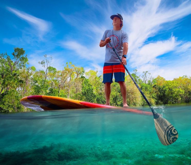 Marco Island: Guided Manatee-Watching Kayaking or SUP Tour - What this Marco Island paddle tour is really like