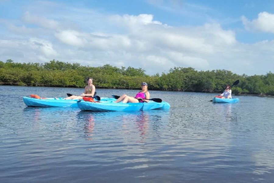 Marco Island: Guided Manatee-Watching Kayaking or SUP Tour - Kayak or SUP: choosing the right fit