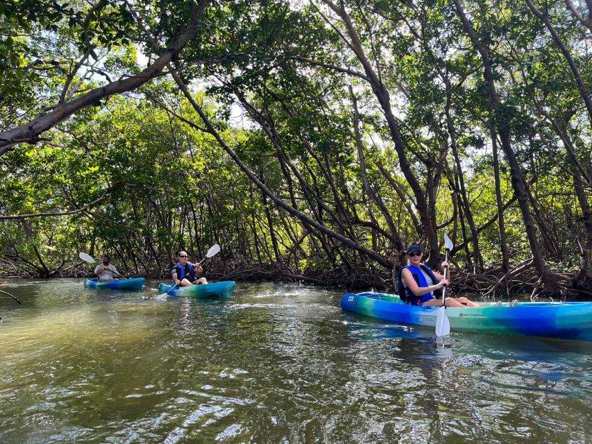 Marco Island: Kayak Mangrove Ecotour in Rookery Bay Reserve - Who will enjoy this most?