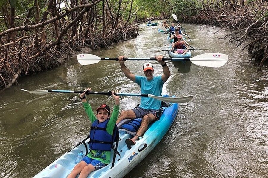 Marco Island: Kayak Mangrove Ecotour in Rookery Bay Reserve - Rookery Bay from the seat of a kayak