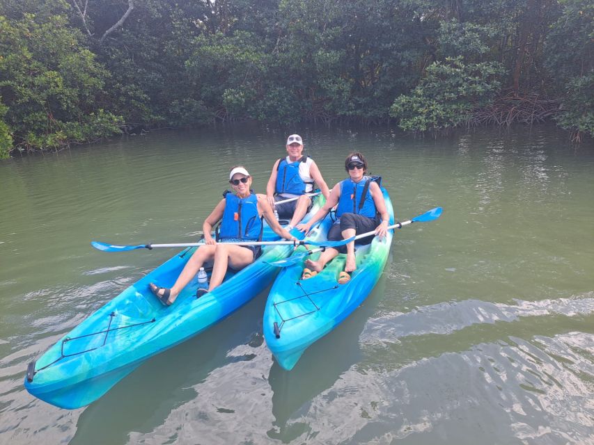 Marco Island: Kayak Mangrove Ecotour in Rookery Bay Reserve - Through the mangrove passages