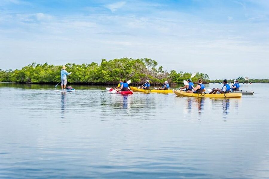 Marco Island: Kayak Mangrove Ecotour in Rookery Bay Reserve - The guides make the short trip count