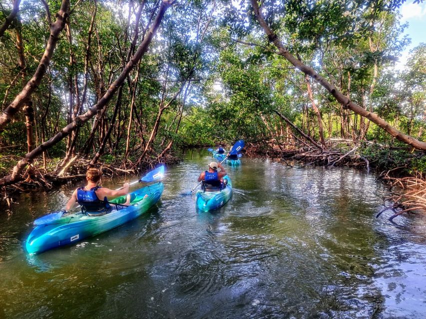 Marco Island: Kayak Mangrove Ecotour in Rookery Bay Reserve - What the two-hour length means