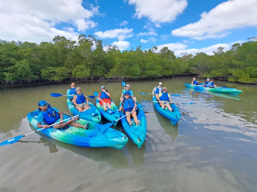 Marco Island: Kayak Mangrove Ecotour in Rookery Bay Reserve - Is $85 a fair price?