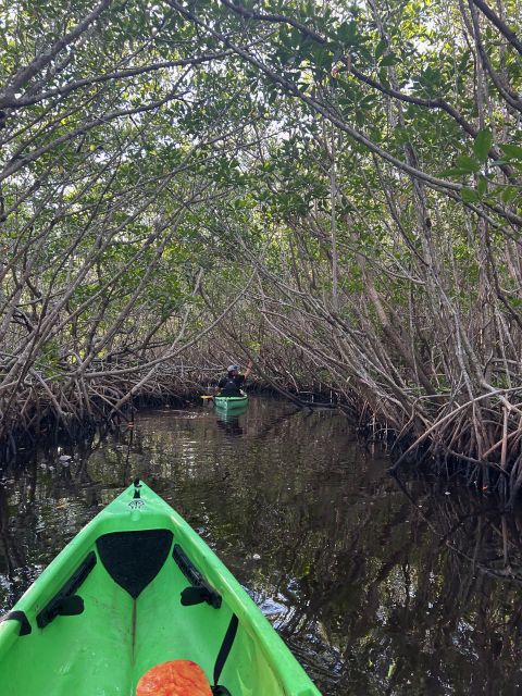 Marco Island: Mangrove Maze Kayak Tour (2hrs) - Why the mangrove maze is worth your morning