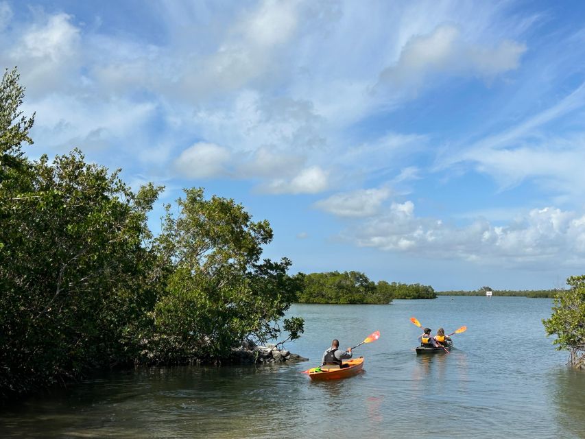 Marco Island: Mangrove Maze Kayak Tour (2hrs) - Booking flexibility and practical limits
