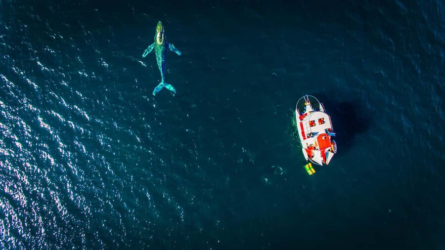 Marietas Islands Boat Tour: Snorkel, Kayak, Playa Nopalera - A full day from Banderas Bay to the Marietas Islands