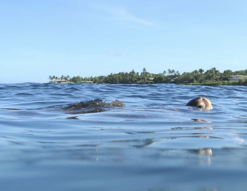 Maui: Beginner Level Private Stand-Up Paddleboard Lesson - The shore lesson makes the first minutes easier