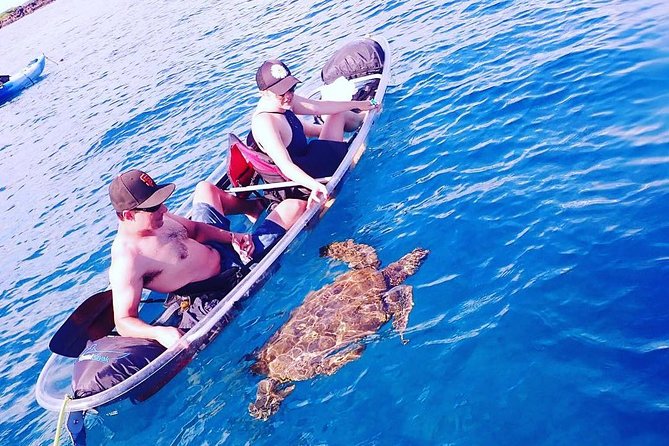 Maui Clear Kayak and Snorkel Tour: Swim with turtles (Makena) - Snorkeling with turtles, or staying in the boat