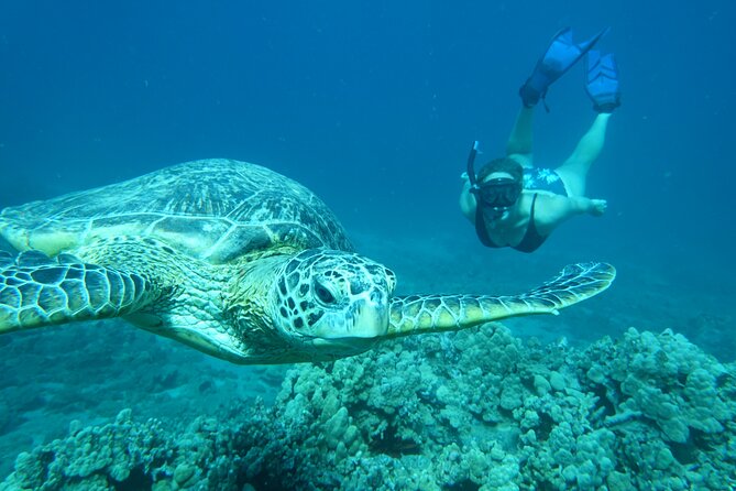Maui Clear Kayak and Snorkel Tour: Swim with turtles (Makena) - Winter whale sounds and wide-open views