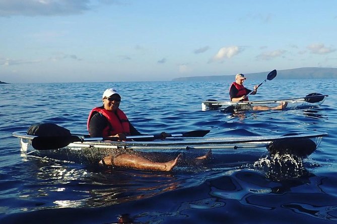 Maui Clear Kayak and Snorkel Tour: Swim with turtles (Makena) - Families, first-timers, and less athletic paddlers