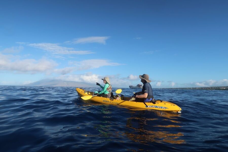 Maui: Turtle Town Kayak and Snorkel Tour - Snorkeling over reefs filled with turtles and fish