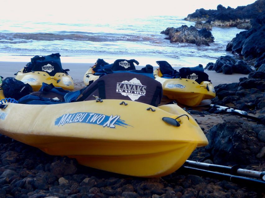 Maui: Turtle Town Kayak and Snorkel Tour - Weather, timing, and the limits of an ocean tour