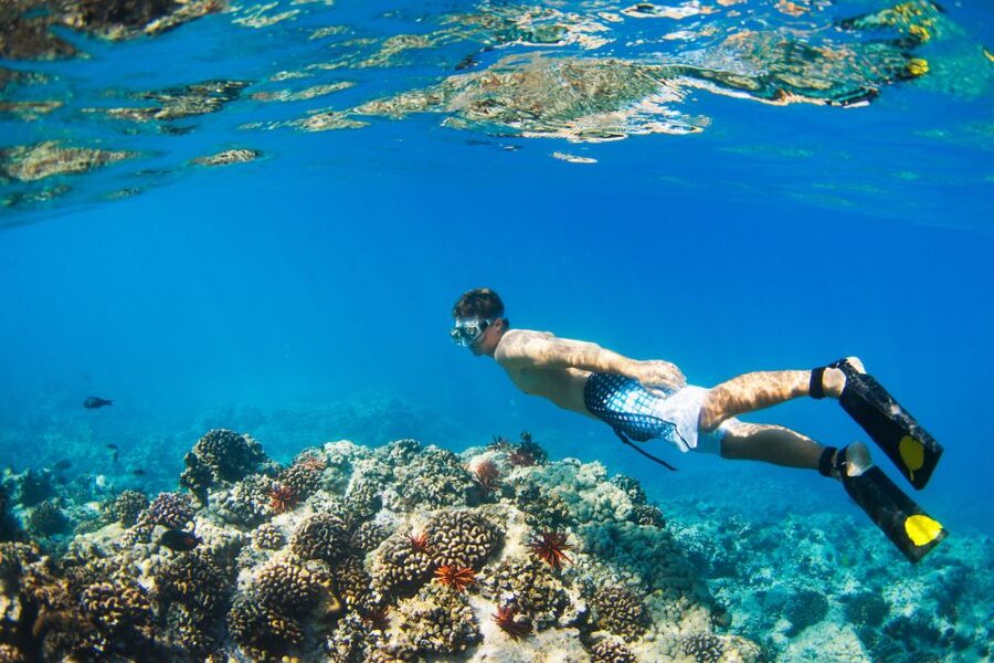 Maui: Turtle Town Kayak and Snorkel Tour - Kayaking the 1.5-mile route to Turtle Town
