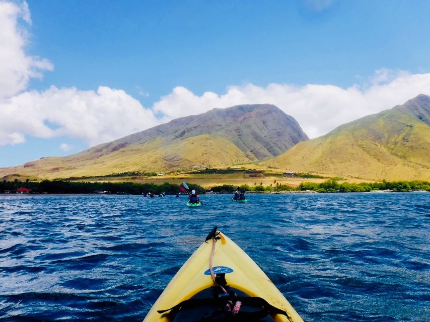 Maui: West Side Discovery Kayak & Snorkel from UKUMEHAME - Why the small group changes the feel