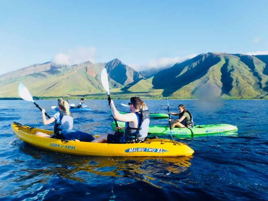 Maui: West Side Discovery Kayak & Snorkel from UKUMEHAME - Who should book this Maui kayak tour?