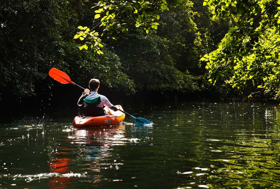 Mauritius: Guided Kayak Tour on Tamarin River - Following the river’s two arms