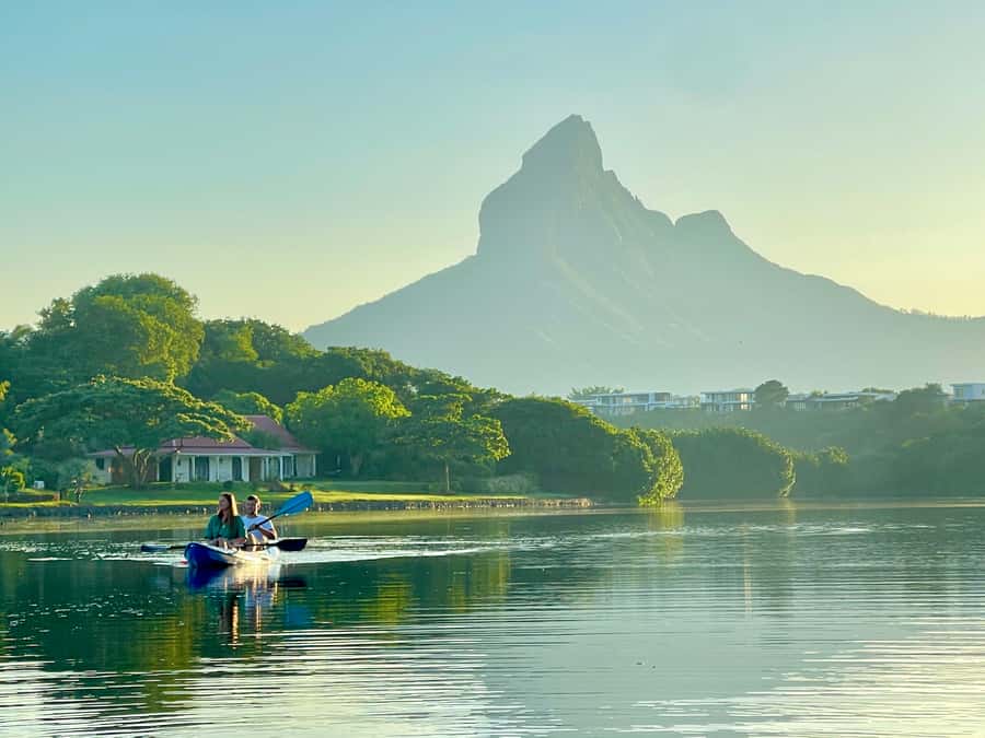 Mauritius: Guided Kayak Tour on Tamarin River - Wildlife along the mangroves