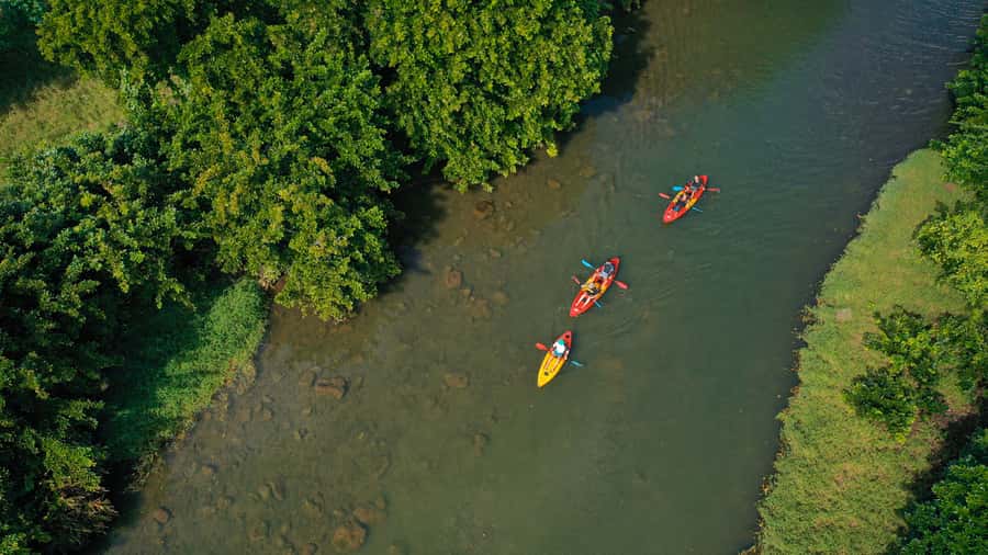 Mauritius: Guided Kayak Tour on Tamarin River - Who will enjoy this most?