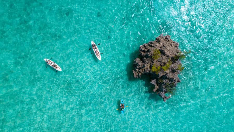 Mauritius: Guided Kayak tour to Benitiers Island - Île aux Bénitiers after two hours of kayaking