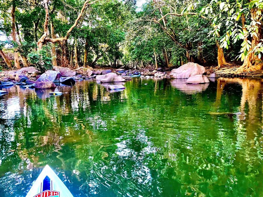 Mauritius: River Guided Kayak Tour with Monkeys - Practical tips for a quieter, better outing