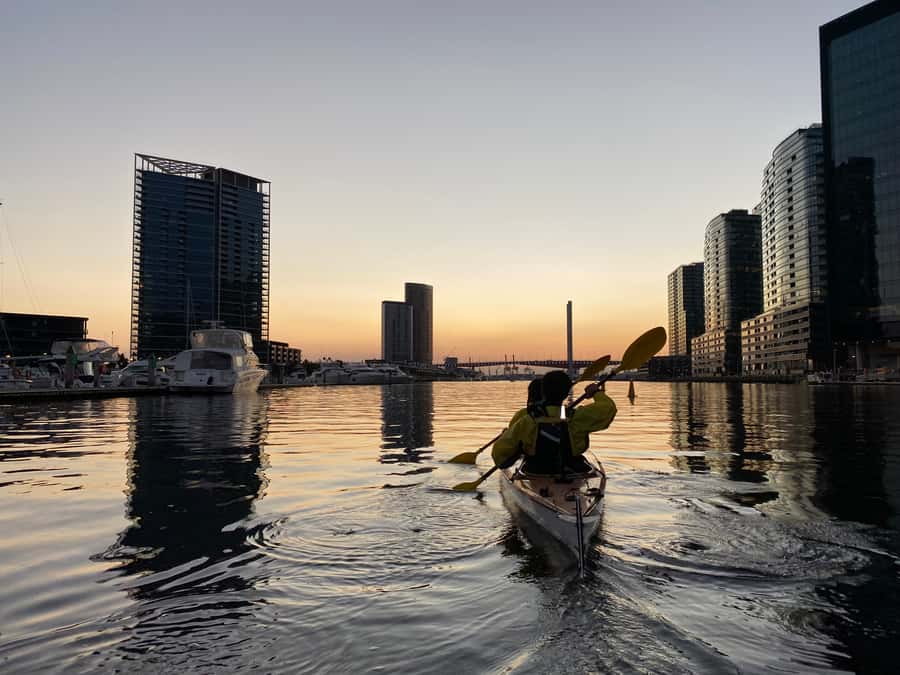 Melbourne: Sunset Kayak Tour with Dinner - Fish and chips served at the marina