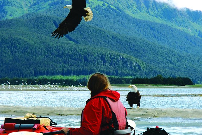 Mendenhall Glacier View Sea Kayaking - Smugglers Cove and the Human Story of the Shoreline