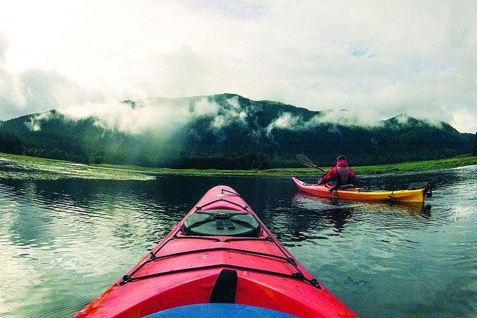 Mendenhall Glacier View Sea Kayaking - The Snack Stop and Ride Back to Juneau