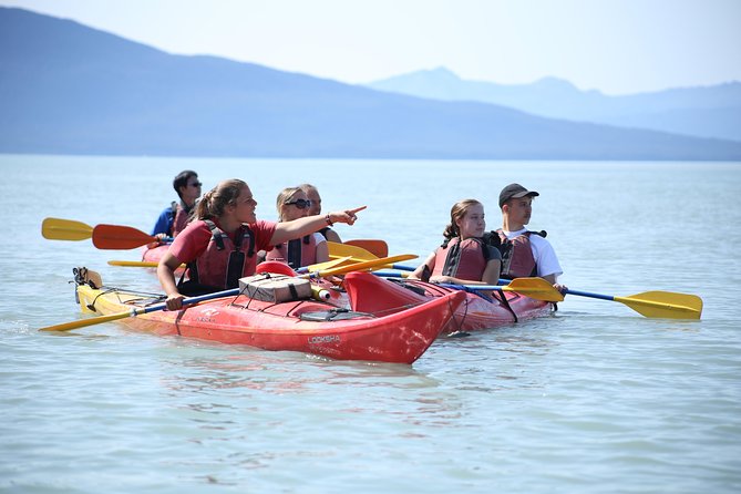 Mendenhall Glacier View Sea Kayaking - Is $159 a Fair Price?