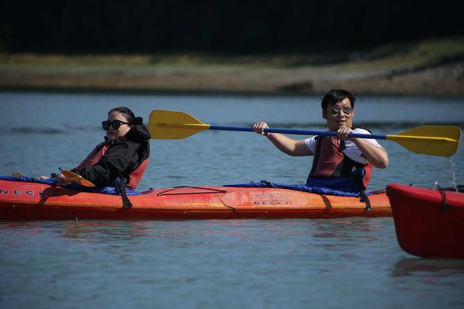 Mendenhall Glacier View Sea Kayaking - Who Will Enjoy This Most?