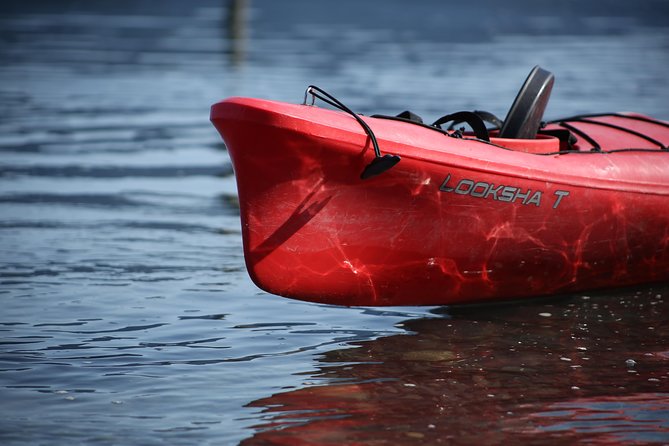 Mendenhall Glacier View Sea Kayaking - Paddling Toward Seals, Eagles, and Sea Otters