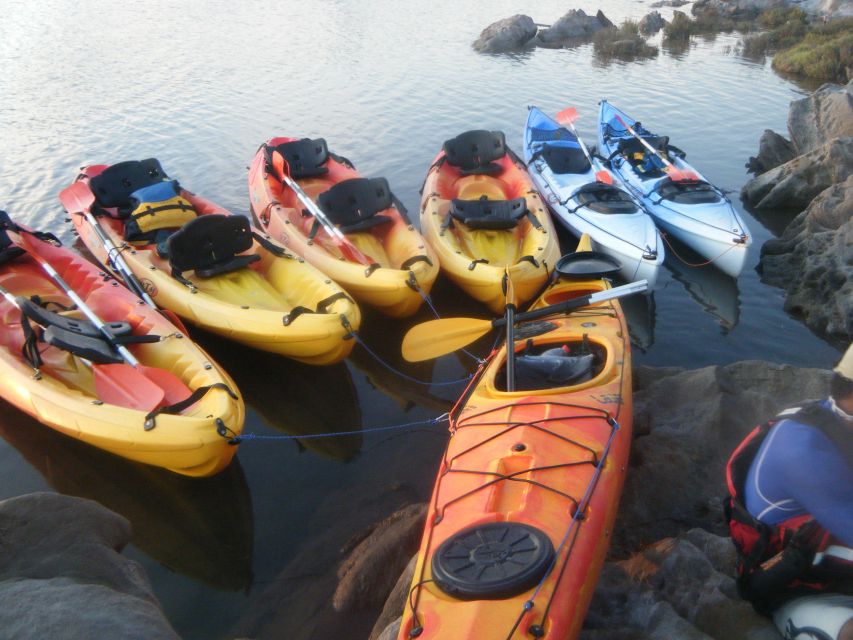 Menorca: Half-Day Kayak Excursion in Fornells - Starting beside Fornells Bay