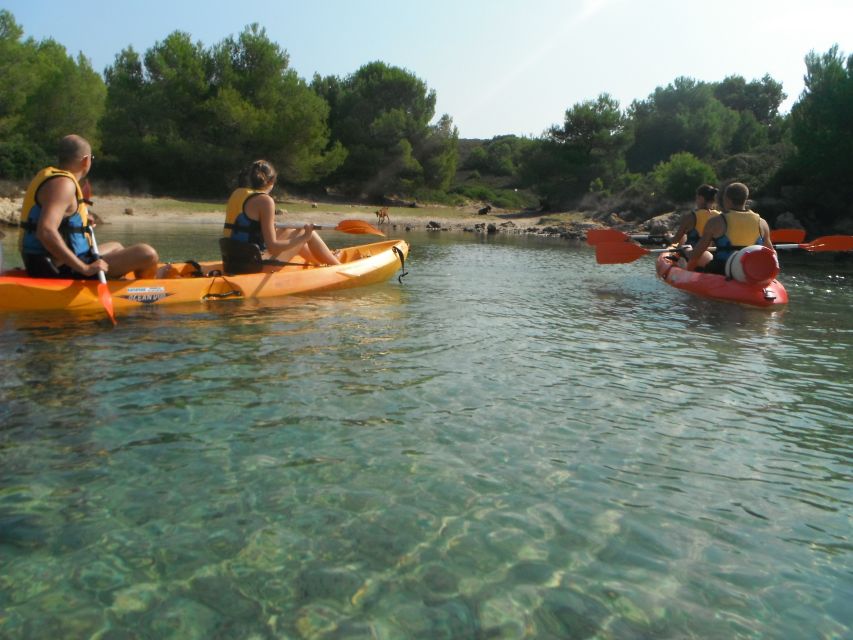 Menorca: Half-Day Kayak Excursion in Fornells - Practical ways to prepare