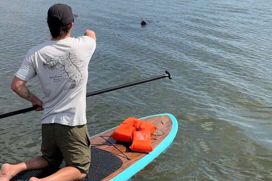 Merritt Island: Manatee Watching Paddle or Kayak Tour - Key points to know before you book
