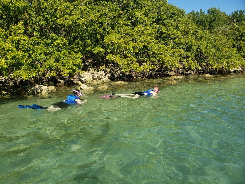 Miami: Beginner-Friendly Island Snorkeling by SUP or Kayak - Key points to know before you book