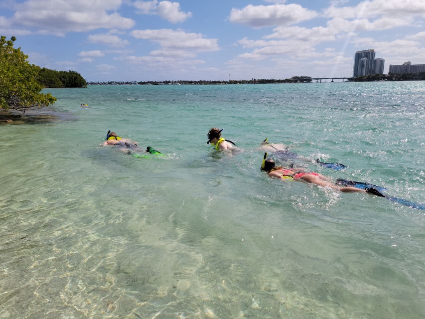 Miami: Beginner-Friendly Island Snorkeling by SUP or Kayak - Should you book the Sandspur Island paddle and snorkel?