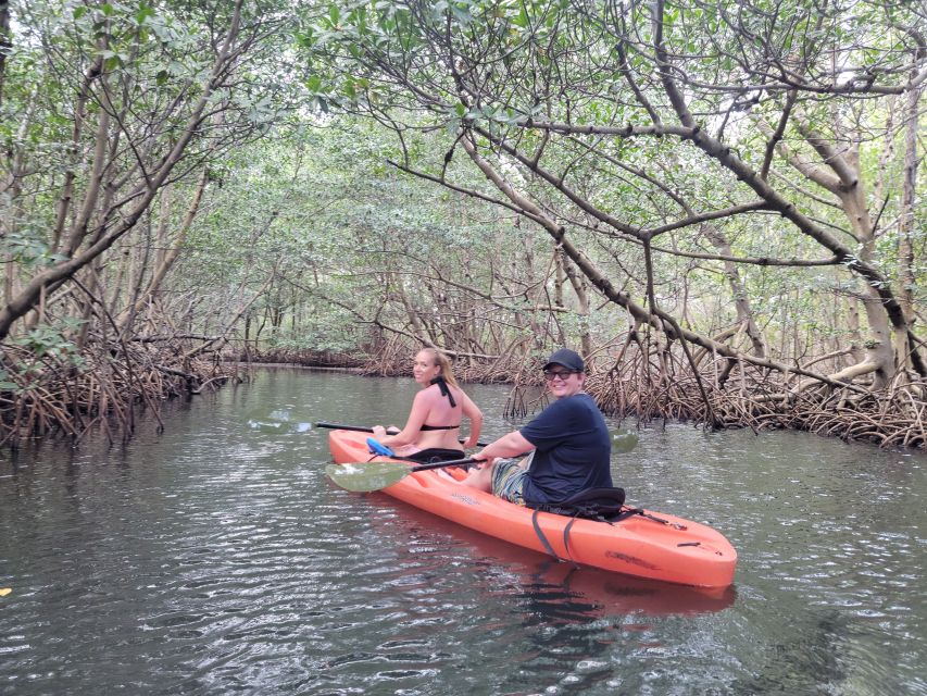Miami: Beginner-Friendly Island Snorkeling by SUP or Kayak - Mangroves, crabs, and a quieter side of Miami