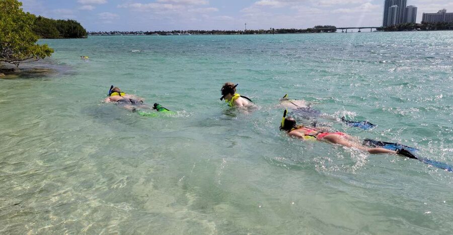 Miami: Beginner-Friendly Island Snorkeling by SUP or Kayak - Is $99 a fair price?