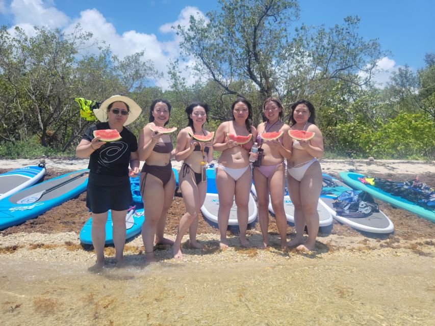 Miami: Beginner-Friendly Island Snorkeling by SUP or Kayak - Who will enjoy this most?
