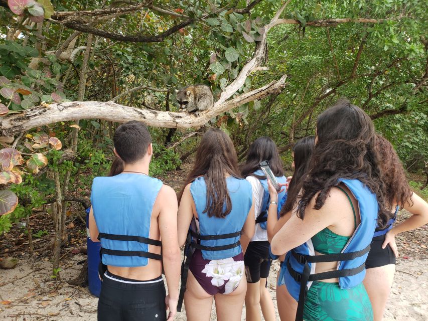 Miami: Beginner-Friendly Island Snorkeling by SUP or Kayak - Learning to kayak or stand-up paddle board