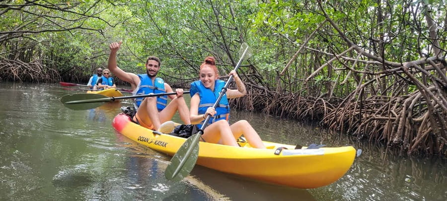 Miami: Biscayne Bay Ultimate Boat Tour with Kayak Experience - Seeing Indian Creek Island from the water
