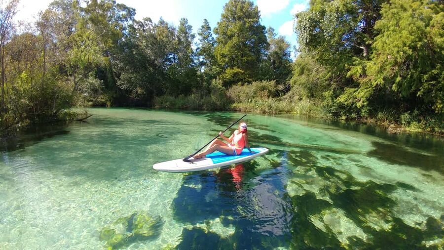 Miami: Biscayne Bay Ultimate Boat Tour with Kayak Experience - Raccoon Island and the mangrove lagoon