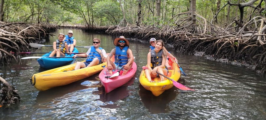 Miami: Biscayne Bay Ultimate Boat Tour with Kayak Experience - A comfortable return cruise with fruit and cold drinks