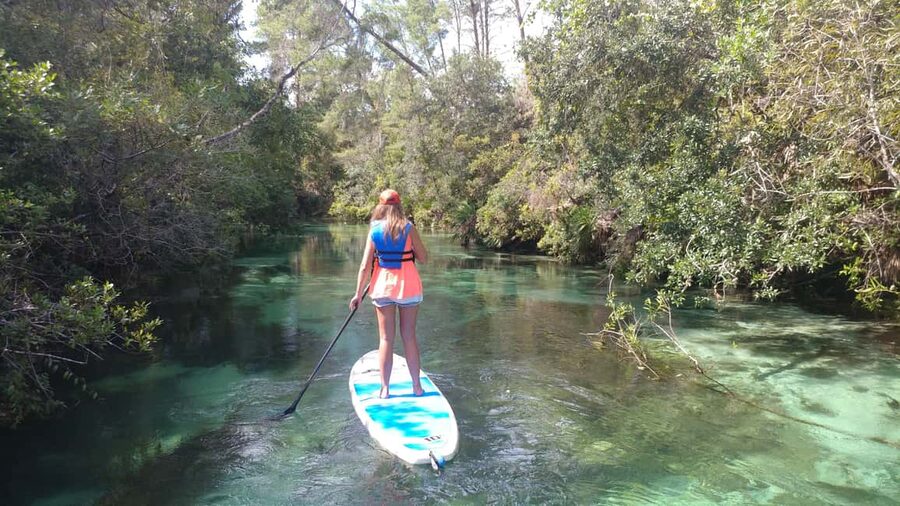 Miami: Biscayne Bay Ultimate Boat Tour with Kayak Experience - Cruising past dolphins, manatees, and Bird Island