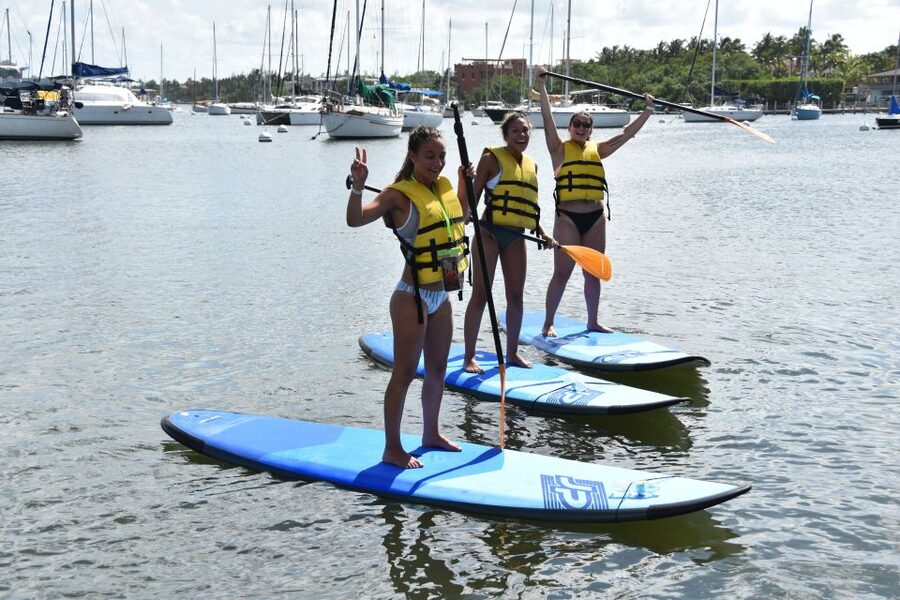 Miami: Kayak or Paddleboard Rental - Who will enjoy this most